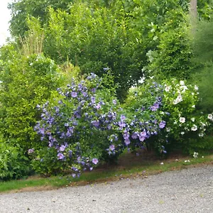 Bed & Breakfast D'hotes La Loubatais, Dol-de-Bretagne